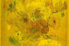 Image-mangee-par-la-lumiere-jaune-Juin-1972