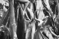 La-hija-de-Tarzan-1978