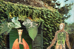 Sin-Titulo-juin-1972