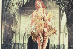 30-Santa-Venus