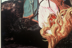 31-La-Cabellera-de-Venus