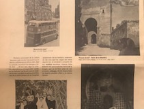 thumbnail_IMG_0498
